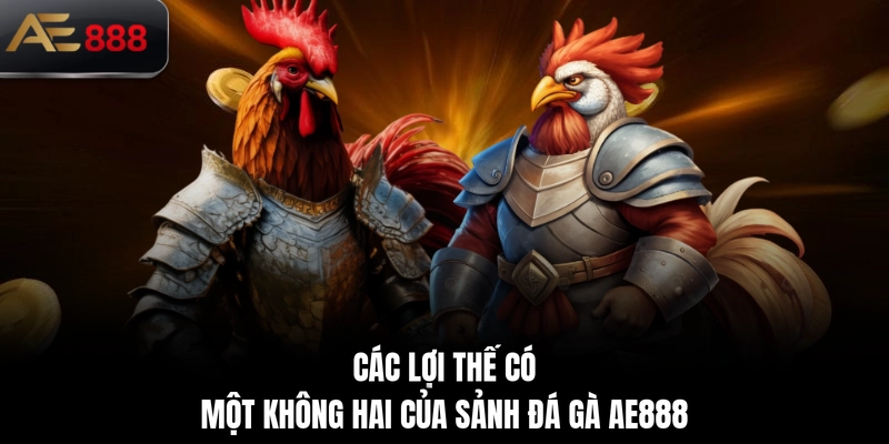 Các lợi thế có một không hai của sảnh đá gà AE888
