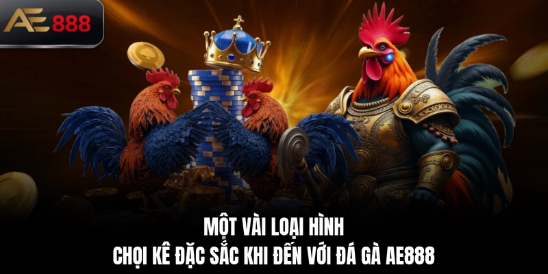 Một vài loại hình chọi kê đặc sắc khi đến với đá gà AE888
