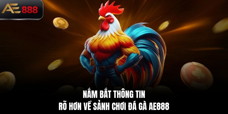 Nắm bắt thông tin rõ hơn về sảnh chơi đá gà AE888