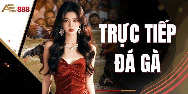 Trực Tiếp Đá Gà